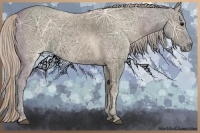 Horse Color:Silver Grullo Ice
