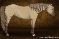 Horse Color:Liver Red Dun 