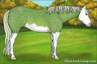 Horse Color:Watercolor Silver Bay Splash