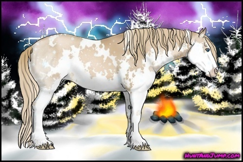 Horse Color:White Spotted Liver Chestnut Pearl Sabino Splash 