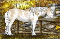 Horse Color:White Spotted Silver Brown Pearl Splash