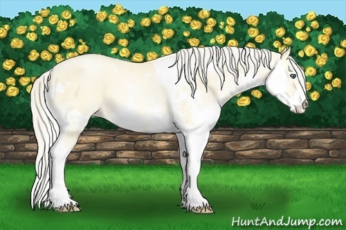 Horse Color:White Spotted Palomino Pearl Dun Splash Tobiano 