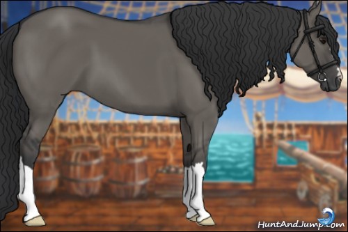 Horse Color:Grullo
