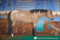 Horse Color:Brown Dun 