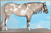 Horse Color:White Spotted Silver Brown Dun