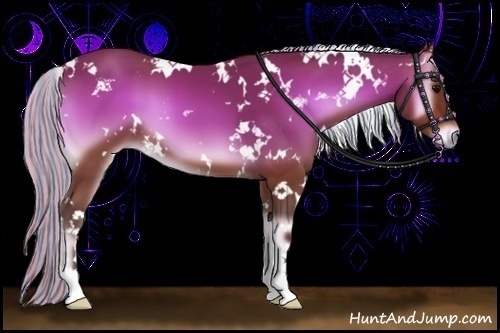 Horse Color:Painted White Spotted Silver Bay Onyx