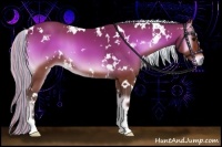 Horse Color:Painted White Spotted Silver Bay Onyx 
