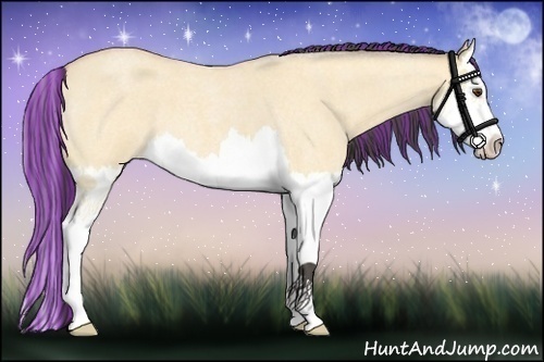 Horse Color:Painted Buckskin Roan Dun Splash 
