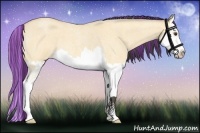 Horse Color:Painted Buckskin Roan Dun Splash 