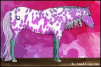 Horse Color:Watercolor Silver Brown Appaloosa 