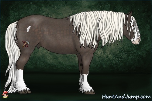 Horse Color:Liver Red Roan Splash 