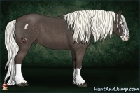 Horse Color:Liver Red Roan Splash