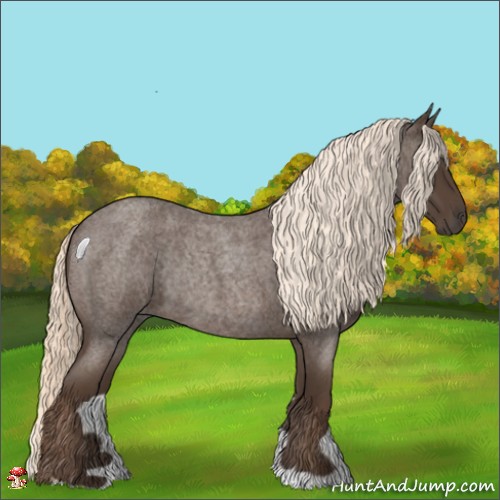 Horse Color:Liver Red Roan Mushroom Rabicano 