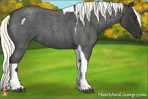 Horse Color:Liver Red Roan Tobiano 