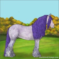Horse Color:Watercolor Bay Ice Roan Sabino 