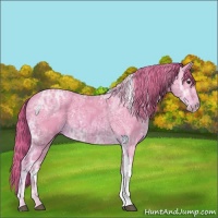 Horse Color:Watercolor Chestnut Ice Tobiano 