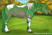 Horse Color:Watercolor Buckskin Tobiano 
