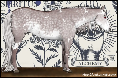 Horse Color:White Spotted Chocolate Silver Smoky Grullo Chinchilla 