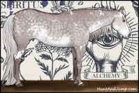 Horse Color:White Spotted Chocolate Silver Smoky Grullo Chinchilla 