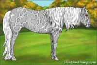 Horse Color:White Spotted Chocolate Silver Smoky Creme Chinchilla Ice Dun 