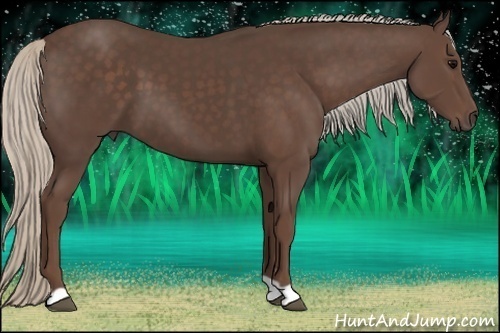 Horse Color:Silver Black 
