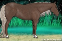 Horse Color:Silver Black 