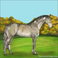 Horse Color:White Spotted Chocolate Palomino Dun Mushroom Brindle