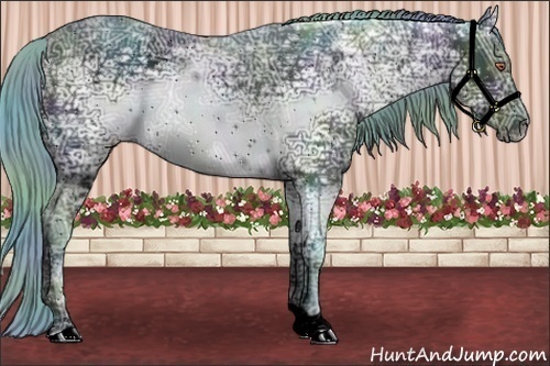 Horse Color:ERROR: UNKNOWN ANOMALY