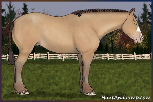 Horse Color:Sable Champagne Rabicano