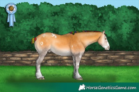 Horse Color:Painted White Spotted Sable Cream Champagne Onyx Splash 