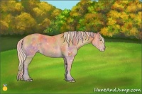 Horse Color:Nacre Silver Amber Champagne 