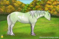 Horse Color:Watercolor White Spotted Silver Sable Cream Champagne Pearl Dun Sabino 