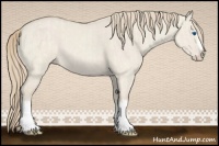 Horse Color:Smoky Creme Dun Sabino Splash and Smoky Creme Dun Sabino Splash