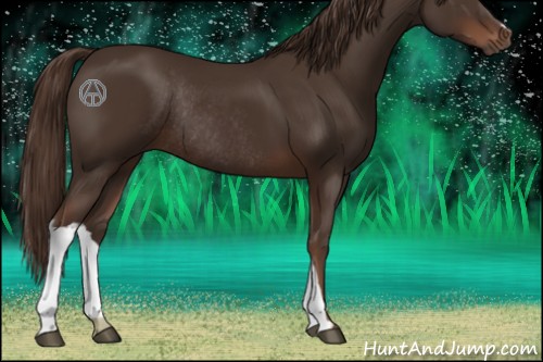 Horse Color:Liver Chestnut Rabicano