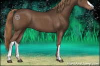 Horse Color:Liver Chestnut