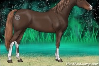 Horse Color:Liver Chestnut 