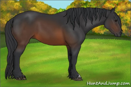 Horse Color:Brown 