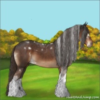 Horse Color:White Spotted Liver Chestnut Tobiano 