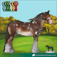 Horse Color:White Spotted Liver Chestnut Tobiano 
