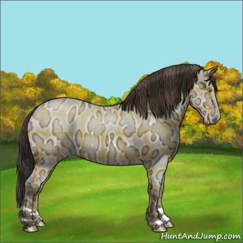 Horse Color:Plaid Sable Champagne Ice Dun