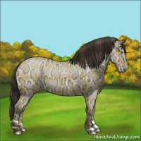 Horse Color:Plaid Sable Champagne Ice Dun