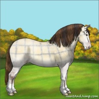 Horse Color:Plaid  Classic Champagne Ice Onyx 