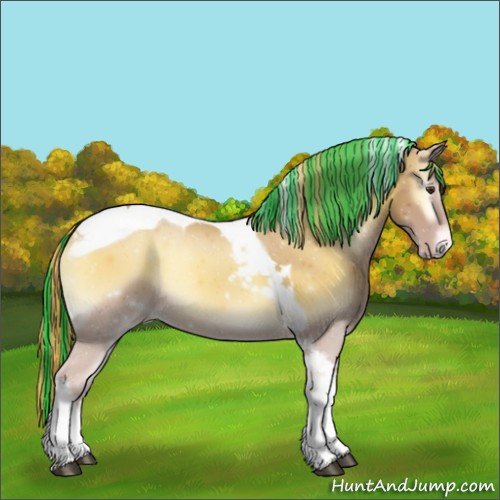 Horse Color:Painted Red Onyx Tobiano Appaloosa