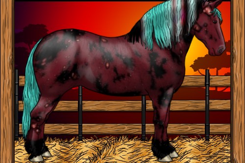 Horse Color:ERROR: UNKNOWN ANOMALY
