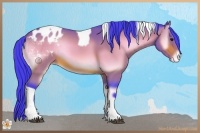 Horse Color:Watercolor Bay Onyx Tobiano Blanket Rabicano 
