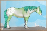 Horse Color:Watercolor Sable Champagne Onyx Appaloosa 