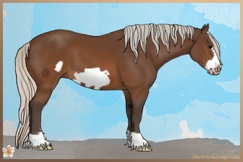 Horse Color:Silver Brown Frame 