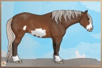 Horse Color:Silver Brown Frame 
