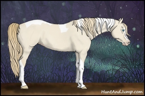 Horse Color:Smoky Creme Dun Sabino Splash  and Smoky Creme Dun Splash Tobiano 
