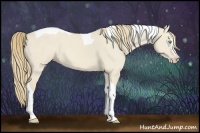 Horse Color:Smoky Creme Dun Sabino Splash and Smoky Creme Dun Splash Tobiano